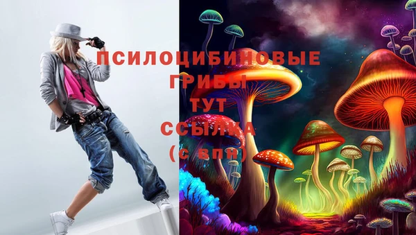 COCAINE Ладушкин